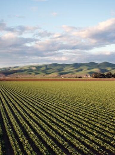 Agriculture